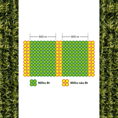 Mais proteção para sua lavoura