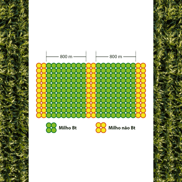 Mais proteção para sua lavoura