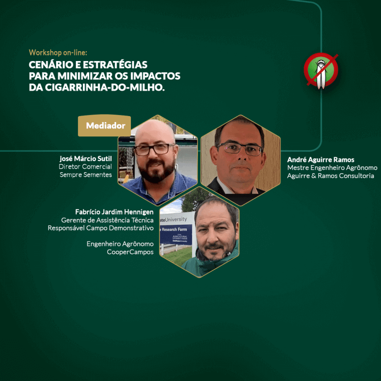 Workshop - Cenário e Estratégias para minimizar os impactos da cigarrinha-do-milho