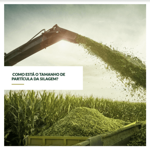 Como está o tamanho de partícula da silagem?