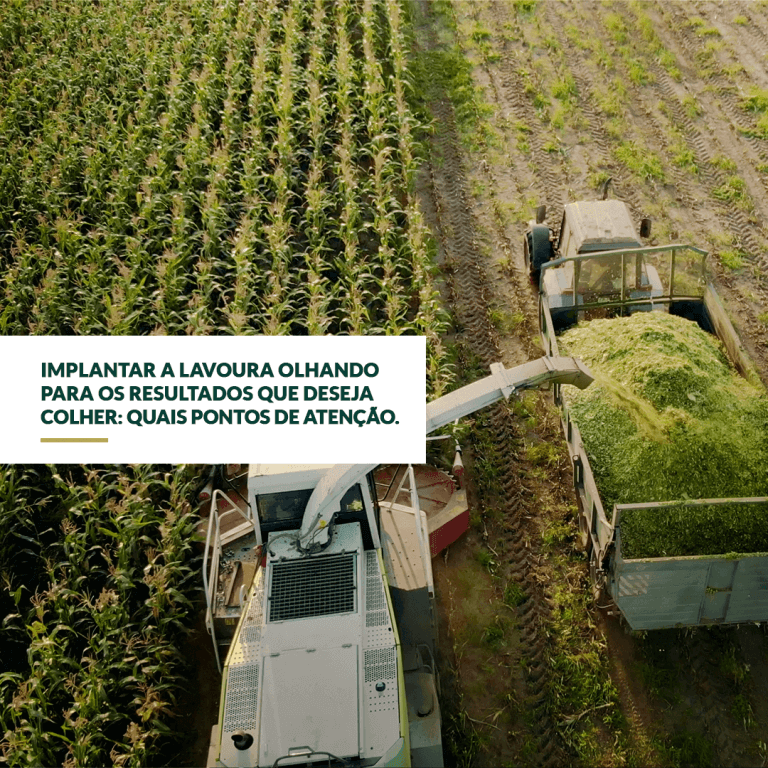 Implantar a lavoura olhando para os resultados que deseja colher: Quais os pontos de atenção?