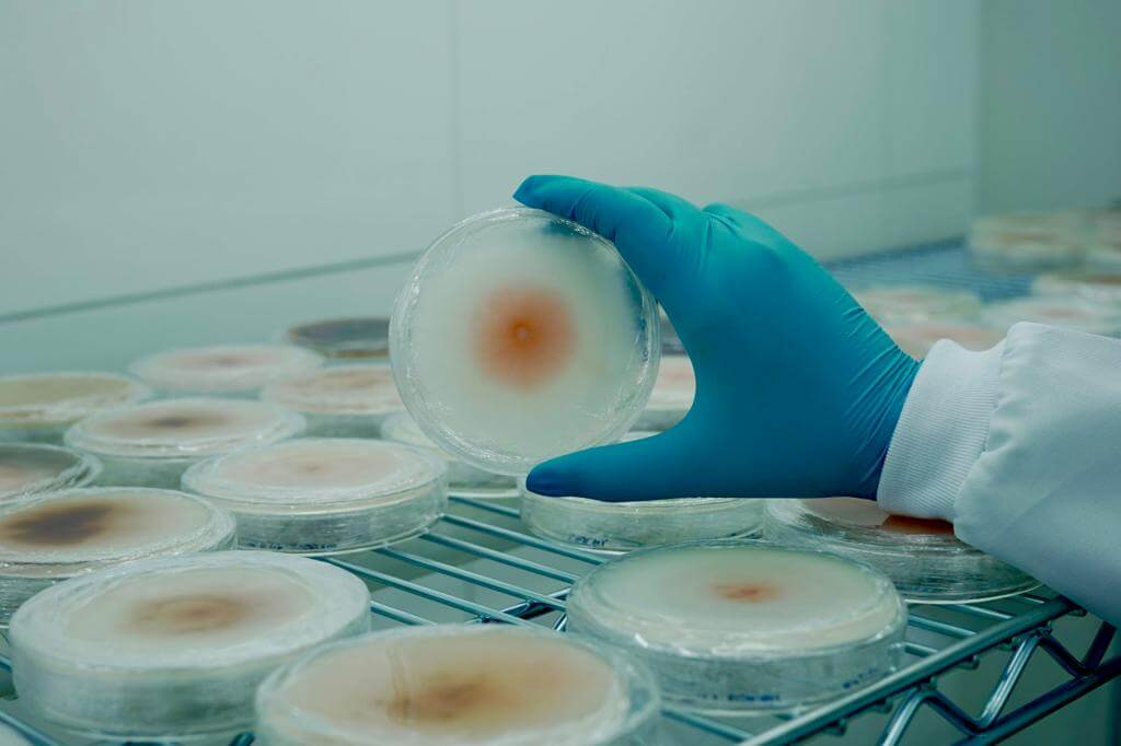 Sempre Agtech investe em defensivos biológicos e biodirigidos 