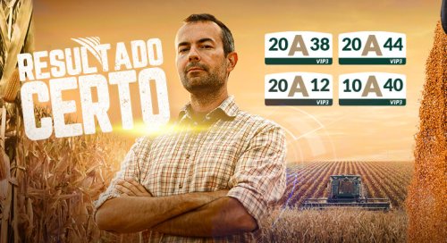 Produtividade com segurança na colheita e plantação do milho. Saiba como garantir mais qualidade na sua lavoura.